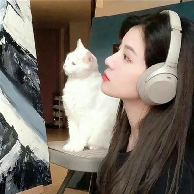 猛鬼街